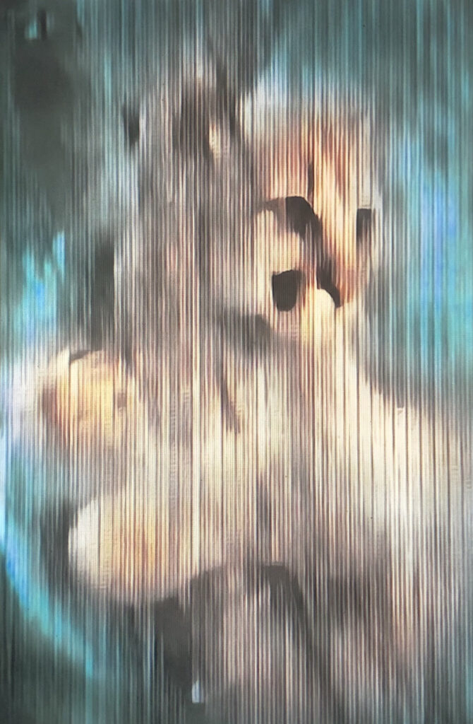081019